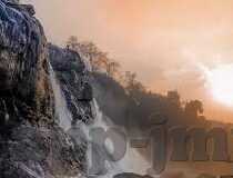 大象传媒视频地址-探索大象传媒视频平台的独特魅力与价值