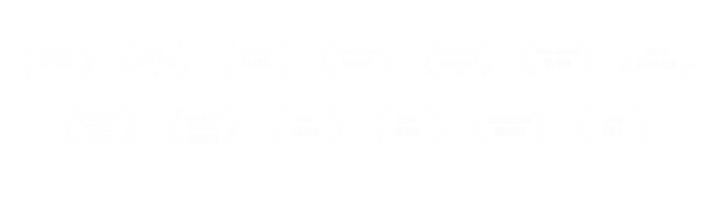 作品奖项