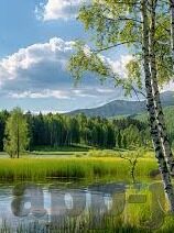 麻豆传媒国产原创剧情-国粹新视界，麻豆传媒国产原创剧情的独特魅力